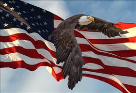USA Flag and Bald Eagle
