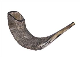 Shofar, source: Wikipedia